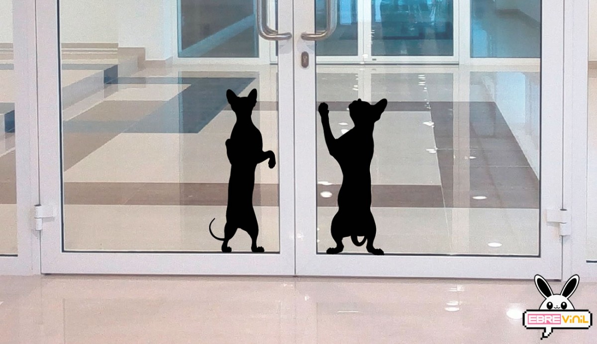 Señal de seguridad para puerta de cristal vinilos con gatos