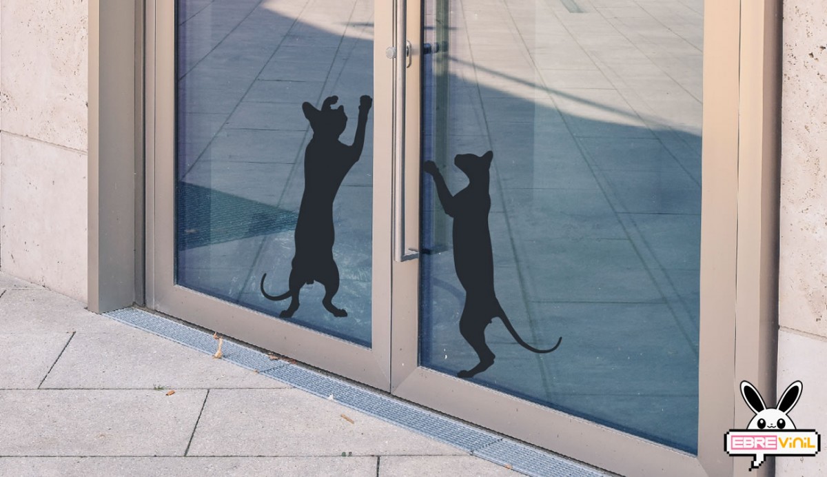 vinilos gatos puertas de cristal