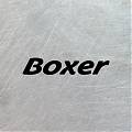  Dale un Toque Único a Tu PEUGEOT BOXER con Este Vinilo Adhesivo Profesional 09207