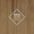  Vinilo para Escaparate Otoño Invierno - Adhesivo para Cristal - Personalizable en Texto, Color y Medidas - Fabricado en España - 08789