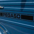  Vinilo de corte PEGASO - Logotipo adhesivo profesional para camiones y vehículos clásicos 09979