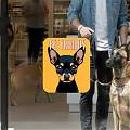  ¡Dale la bienvenida a tus clientes peludos con nuestro vinilo adhesivo Pet Friendly!  09869