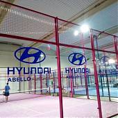 Lexus vs. Hyundai
