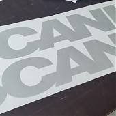 Vinilos Adhesivos para Camiones Scania: Estilo y Personalidad en Movimiento