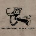  Vinilo Adhesivo Big Brother Is Watching 02725