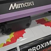 Vinilos Decorativos para el Camión PEGASO TRONER en EBREVINIL