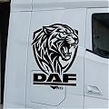  Vinilo de Corte Felino y Logo DAF | Adhesivo para Camión sin Fondo, +20 Colores y Medidas 010008