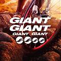  Kit de vinilos adhesivos para la decoración de bicicletas GIANT 05758