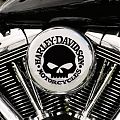  Vinilo adhesivo exclusivo HARLEY DAVIDSON MOTORCYCLES - La esencia americana para tu moto 08748