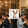  ¡Sí, aquí entran perros! Vinilo Adhesivo ‘Pet Friendly’ con perrito adorable para tu negocio. 09870