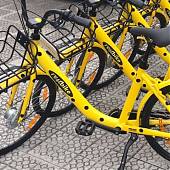 Así quedaron los vinilos para las bicicletas  RESTBIKE!