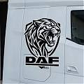  Vinilo de Corte Felino y Logo DAF | Adhesivo para Camión sin Fondo, +20 Colores y Medidas 010008