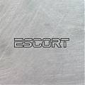  Vinilo Adhesivo de Corte con Logotipo Ford Escort: Estilo Personalizado y Resistencia Inigualable para Tu Vehículo 08895
