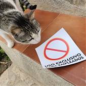 Beneficios y Aplicaciones del Vinilo Adhesivo 