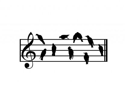  Vinilo decorativo de pared pentagrama con pájaros - vinilos decoración musicales, comprar vinilos decorativos musicales 06655