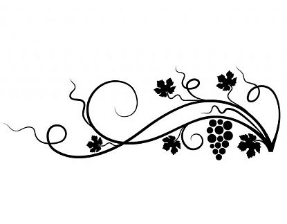  Vinilo Decoración Vitaceae - vinilos decorativos de pared arboles y flores, vinilos decorativos de flores 02801
