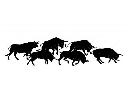  Decoración con vinilos adhesivos caravanas y autocaravanas Toros bravos 05533