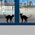  Vinilo para señalización de puertas de cristal con dos siluetas de gatos  - Vinilos para puertas de cristal 08686
