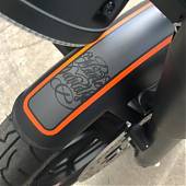 Sin discusión alguna!. Sólo con máscara de vinilo se puede decorar una de las Harleys Davidson más exclusivas del país