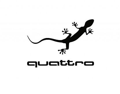  Vinilo Adhesivo Audi Quattro - Diseño Específico para Automóviles - Resistente a Condiciones Climáticas Extremas 06072