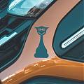  Vinilo Adhesivo de Corte para Vehículos DACIA de EBREVINIL: Personalización con Estilo Felino 08892
