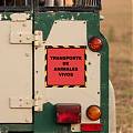  Vinilo Adhesivo “Transporte de Animales Vivos” – Señalización de Seguridad para Remolques 09858