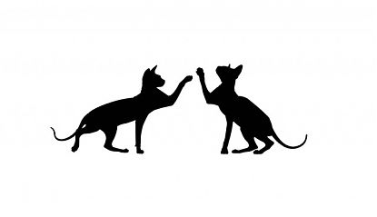  Vinilos para cristal de puertas - Pegatinas antigolpes para puertas de cristal con dos siluetas de gatos - stickers glass anti collision 08684