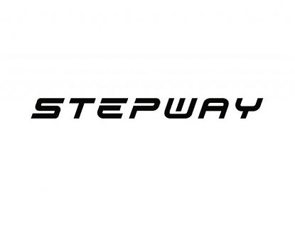  Vinilo decorativo para vehículos Dacia STEPWAY 07437