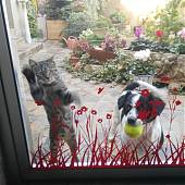 Cómo evité que mi perro y mi gato no se estrellaran contra una puerta de cristal