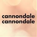  Vinilos adhesivos Cannondale Scalpel Carbon 07981