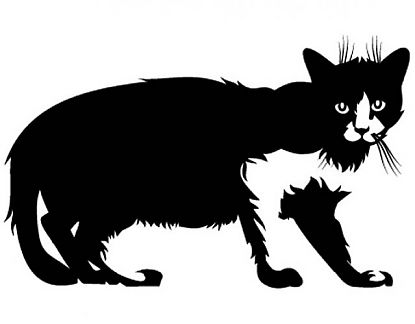  Vinilo Decorativo  Animales Gatos 1 0630