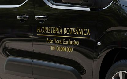  Vinilos adhesivos de corte para rotulación de vehículos | Coches, furgonetas y camiones 09896