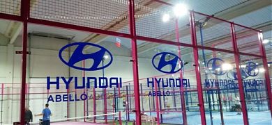 Lexus vs. Hyundai