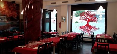 Vinilos decorativos para le Restaurante la Raíz de Valladolid