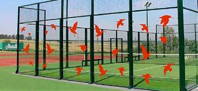 ¿Como evitar que aves y pájaros colisionen contra los cristales en pistas de pádel?