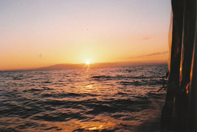 lomograf&iacute;a, c&aacute;maras lomo