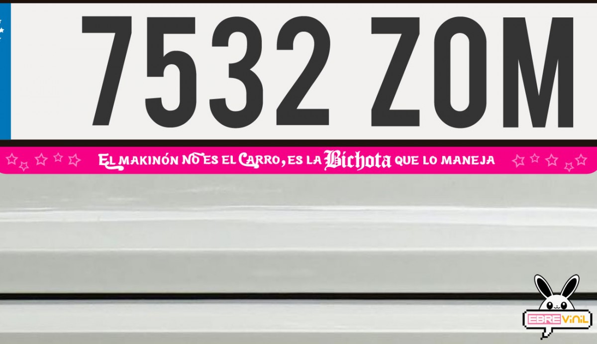 BICHOTA PEGATINAS