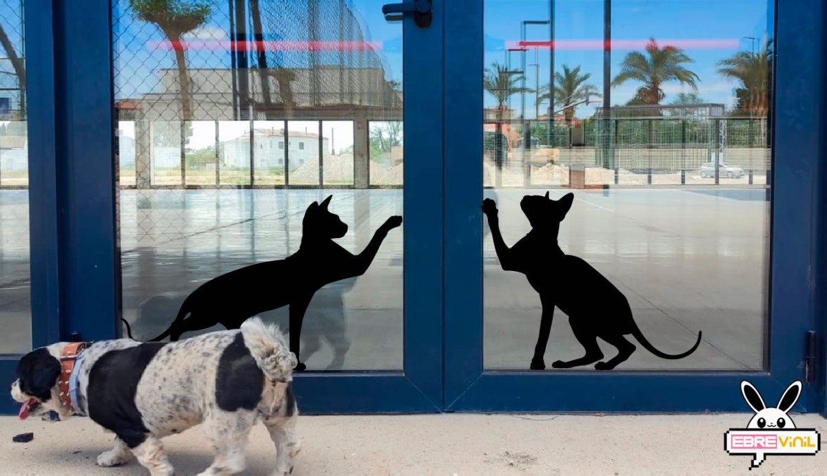 Stickers Para Puertas De Vidrio
