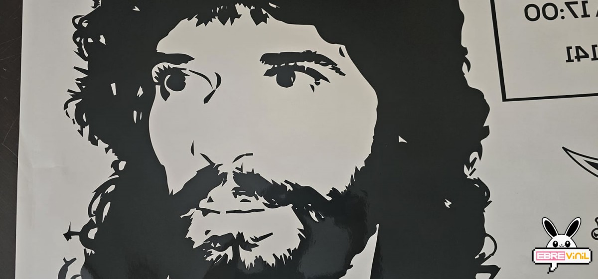 Vinilo decorativo flamenco