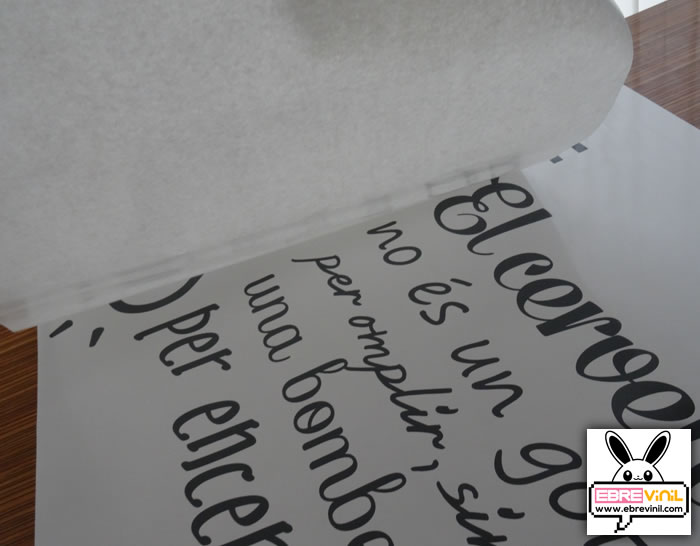Vinilos decorativos con frase personalizada en catalán para pared