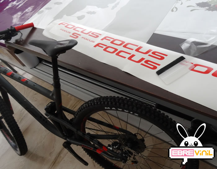 adhesivos customizar bicicleta focus raven