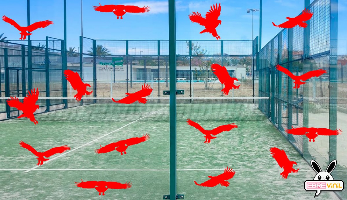 adhesivos protección pistas de pádel pájaros