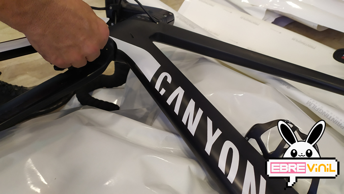 canyon bicicletas decoraciones