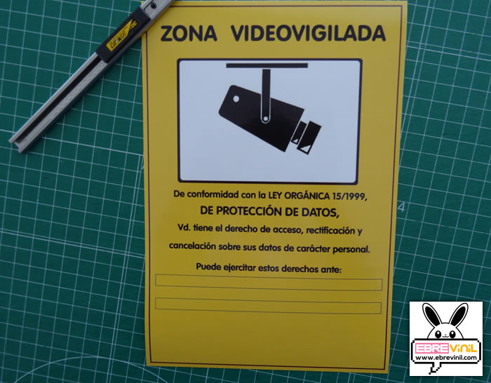 cartel vinilo escaparate videovigilada