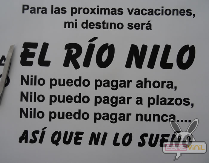 chistes en vinilo adhesivo