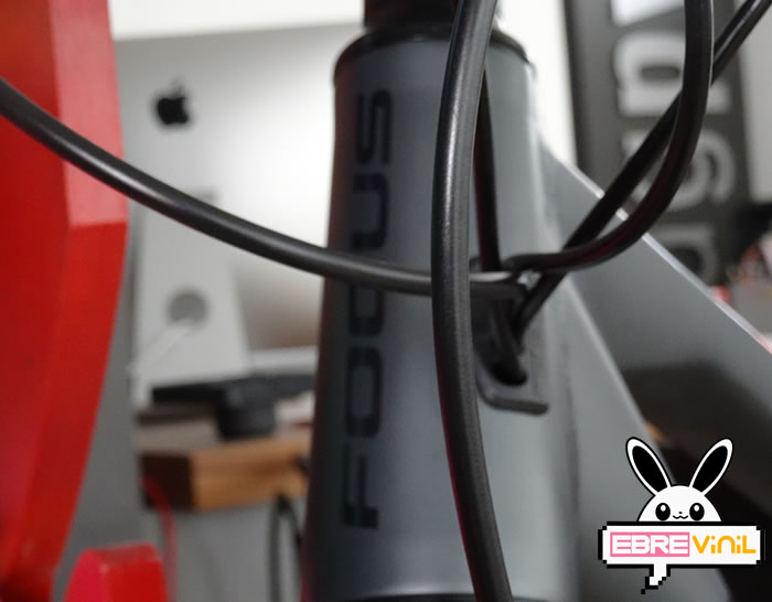 decoraciones bicicleta focus raven
