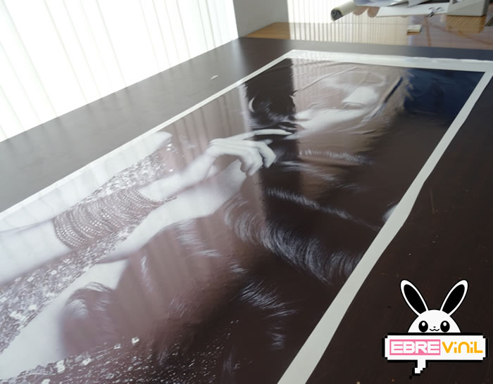 decoraciones peluquerías originales vinilos impresos