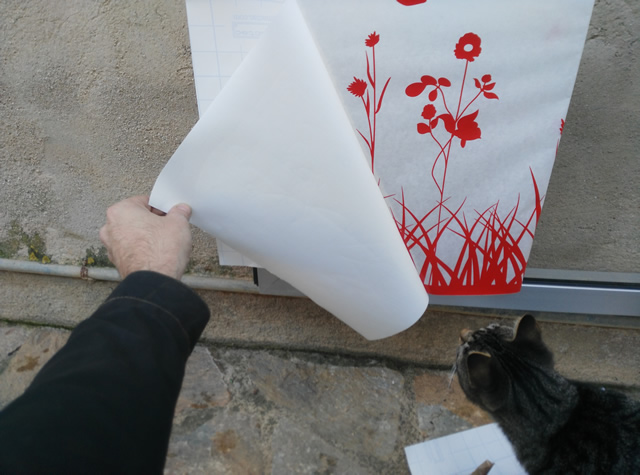 guía colocación vinilos adhesivos