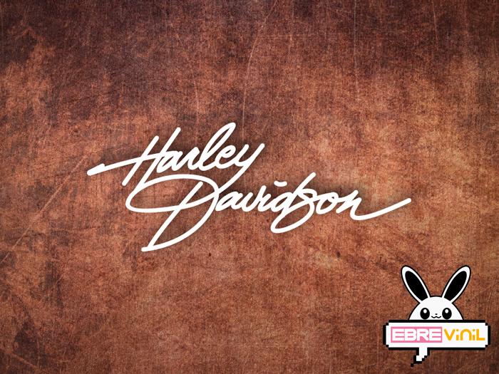 harley davidson adhesivos