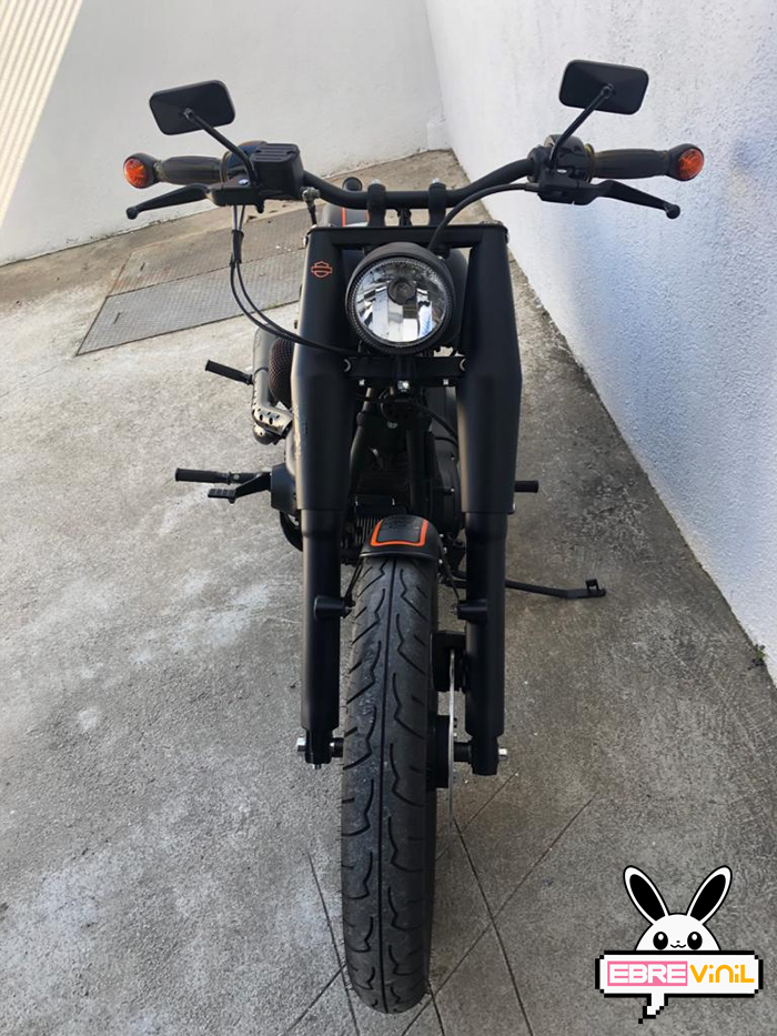 harley davidson transformada vinilos